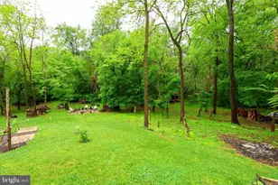 16919 Shaffer Rd, Sharpsburg, MD 21782 - Photo 48