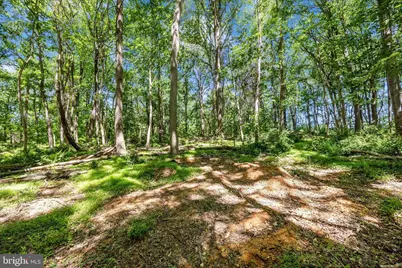 Harpers Ferry Road, Knoxville, MD 21758 - Photo 6