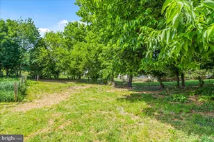 20219 Locust Grove Rd, Rohrersville, MD 21779 - Photo 40