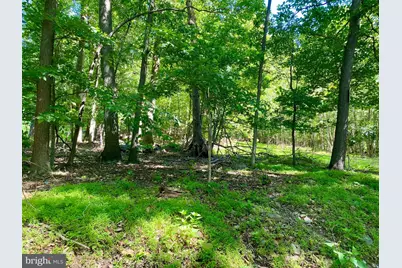 Hoffmaster Road, Knoxville, MD 21758 - Photo 6