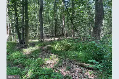 14126 Indian Springs Road, Clear Spring, MD 21722 - Photo 12
