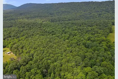 75.31+/- Acres Off Of Porters Ln, Hancock, MD 21750 - Photo 2