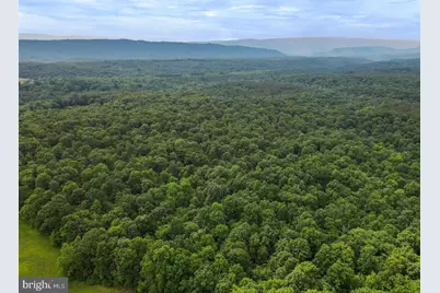 75.31+/- Acres Off Of Porters Ln, Hancock, MD 21750 - Photo 14