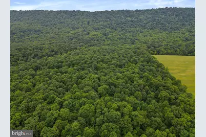 75.31+/- Acres Off Of Porters Ln, Hancock, MD 21750 - Photo 12
