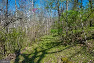 4304 Sharmans Run, Sharpsburg, MD 21782 - Photo 56