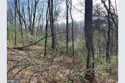 Lot 10 Shanktown Road, Big Pool, MD 21711 - Photo 4