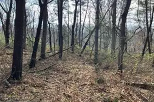 Lot 10 Shanktown Rd, Big Pool, MD 21711 - Photo 1