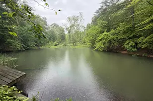 11915 Cove Rd, Clear Spring, MD 21722 - Photo 86