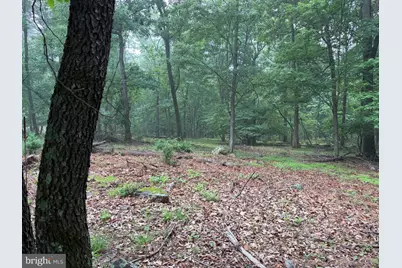 11915 Cove Road, Clear Spring, MD 21722 - Photo 80