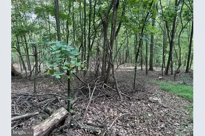 0 Hanging Rock Road, Clear Spring, MD 21722 - Photo 12