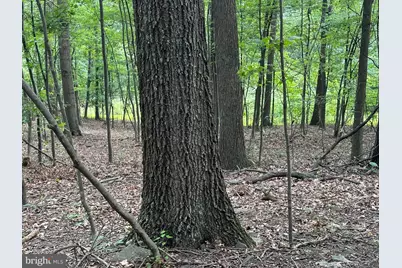 0 Hanging Rock Road, Clear Spring, MD 21722 - Photo 10
