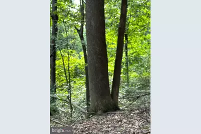 0 Hanging Rock Road, Clear Spring, MD 21722 - Photo 6