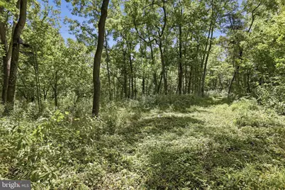 7900 Avis Mill Road, Williamsport, MD 21795 - Photo 16