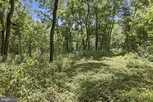 7900 Avis Mill Rd, Williamsport, MD 21795 - Photo 16