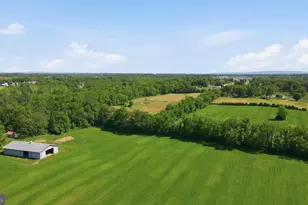 8805 Reichard Rd, Fairplay, MD 21733 - Photo 64
