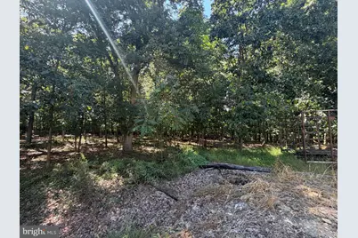 110+/- Acres Mt Carmel Church Road, Keedysville, MD 21756 - Photo 34