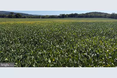 110+/- Acres Mt Carmel Church Road, Keedysville, MD 21756 - Photo 20