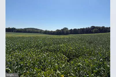 110+/- Acres Mt Carmel Church Road, Keedysville, MD 21756 - Photo 22