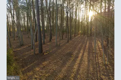 1410 Bell Island Trail, Salisbury, MD 21801 - Photo 8