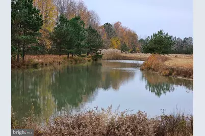 Lot 8A Song Sparrow Circle, Delmar, MD 21875 - Photo 6