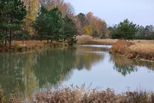 Lot 8A Song Sparrow Circle, Delmar, MD 21875 - Photo 6