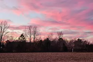 Lot 8A Song Sparrow Circle, Delmar, MD 21875 - Photo 54