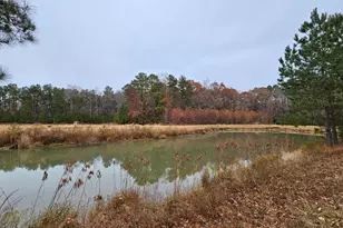 Lot 8A Song Sparrow Circle, Delmar, MD 21875 - Photo 10