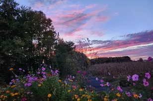 Lot 8A Song Sparrow Circle, Delmar, MD 21875 - Photo 24