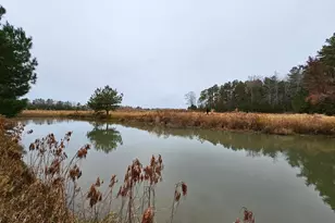 Lot 9A Song Sparrow Circle, Delmar, MD 21875 - Photo 52