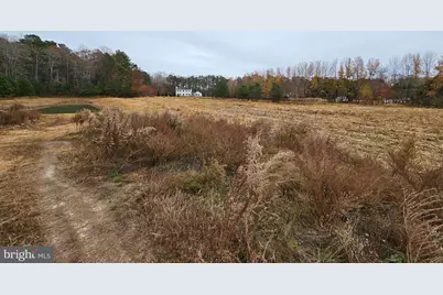 Lot 9A Song Sparrow Circle, Delmar, MD 21875 - Photo 42