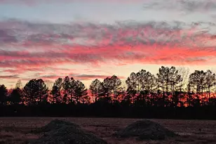 Lot 9A Song Sparrow Circle, Delmar, MD 21875 - Photo 16