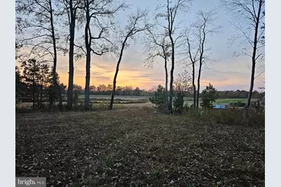 Lot 9A Song Sparrow Circle, Delmar, MD 21875 - Photo 40