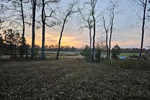 Lot 9A Song Sparrow Circle, Delmar, MD 21875 - Photo 40