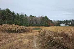 Lot 9A Song Sparrow Circle, Delmar, MD 21875 - Photo 44