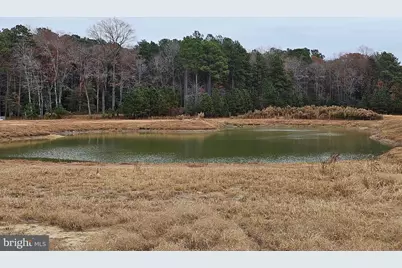 Lot 9A Song Sparrow Circle, Delmar, MD 21875 - Photo 30