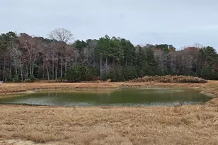 Lot 9A Song Sparrow Circle, Delmar, MD 21875 - Photo 30