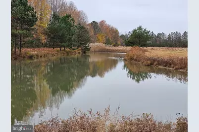 Lot 9A Song Sparrow Circle, Delmar, MD 21875 - Photo 50