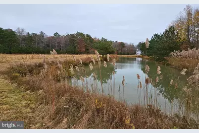Lot 9A Song Sparrow Circle, Delmar, MD 21875 - Photo 54