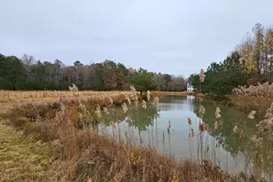 Lot 9A Song Sparrow Circle, Delmar, MD 21875 - Photo 54