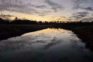 Lot 6A Mourning Dove Way, Delmar, MD 21875 - Photo 20