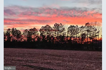 Lot 6A Mourning Dove Way, Delmar, MD 21875 - Photo 38