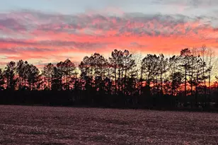 Lot 6A Mourning Dove Way, Delmar, MD 21875 - Photo 38