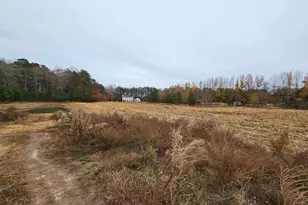 Lot 6A Mourning Dove Way, Delmar, MD 21875 - Photo 54