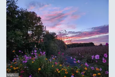 Lot 6A Mourning Dove Way, Delmar, MD 21875 - Photo 14