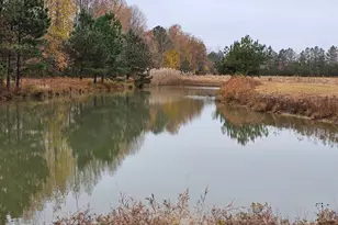 Lot 6A Mourning Dove Way, Delmar, MD 21875 - Photo 24