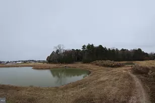 Lot 6A Mourning Dove Way, Delmar, MD 21875 - Photo 42