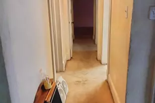 7411 Main St, Willards, MD 21874 - Photo 12