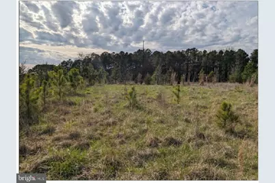 0 Old Eden Road, Eden, MD 21822 - Photo 14