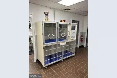 404 Snow Hill Road, Salisbury, MD 21804 - Photo 24