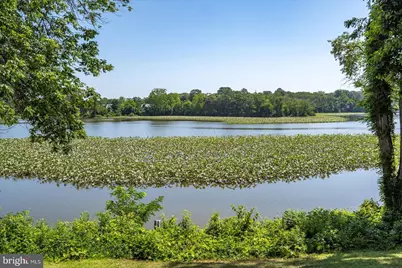 5464 Cherry Hill Lane, Salisbury, MD 21801 - Photo 88